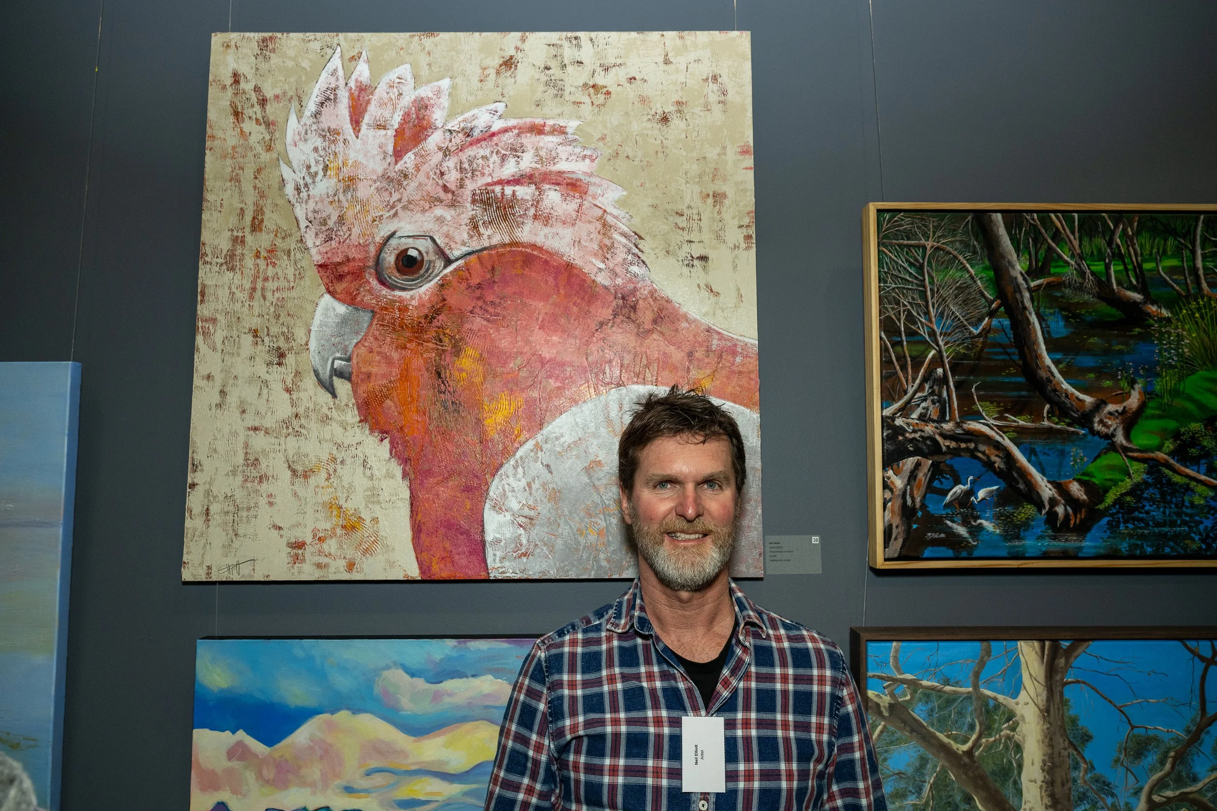 Galah by Neil Elliott