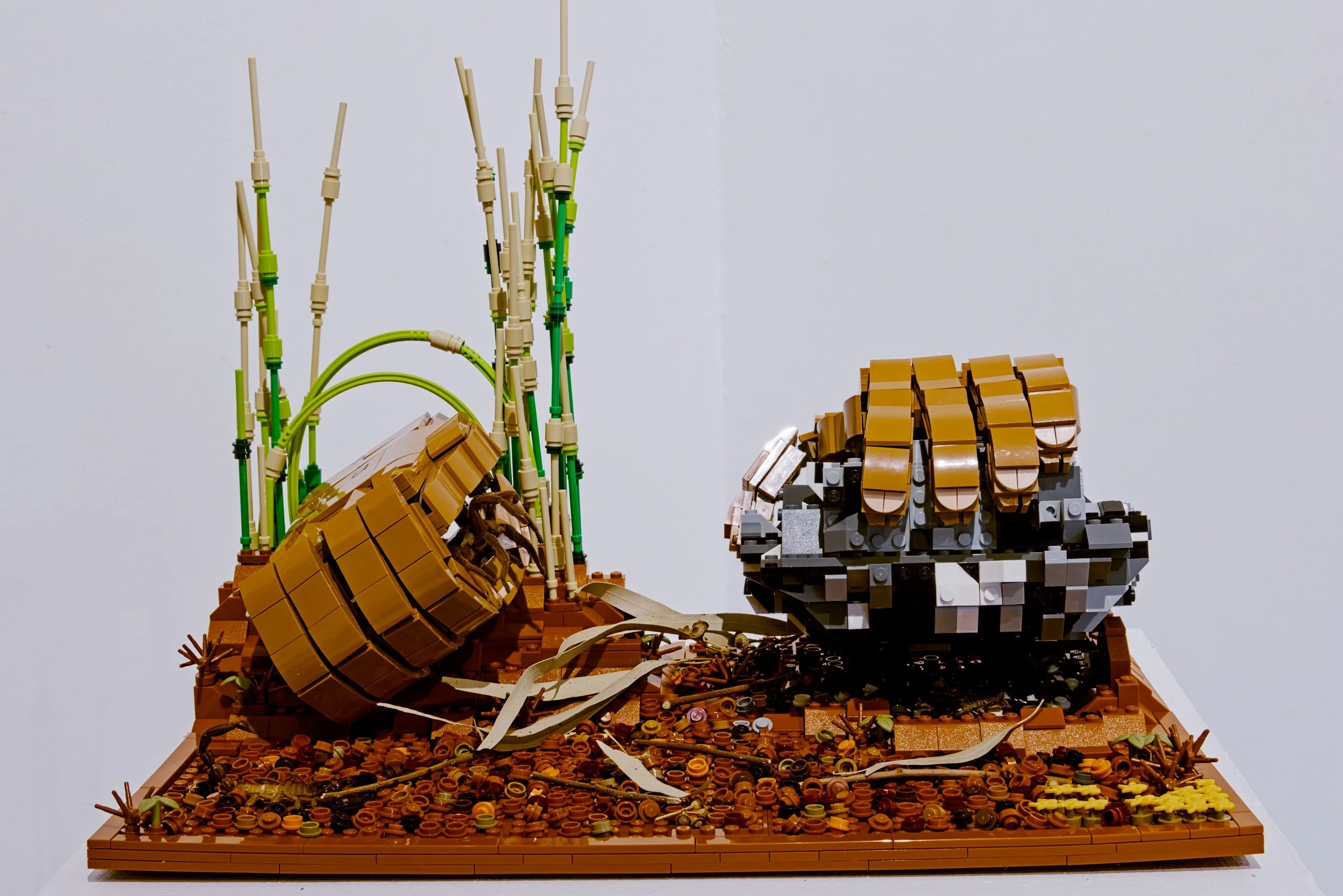 Bea, Entomology Collection, 2025, lego, taxidermy specimens, leaves, sticks