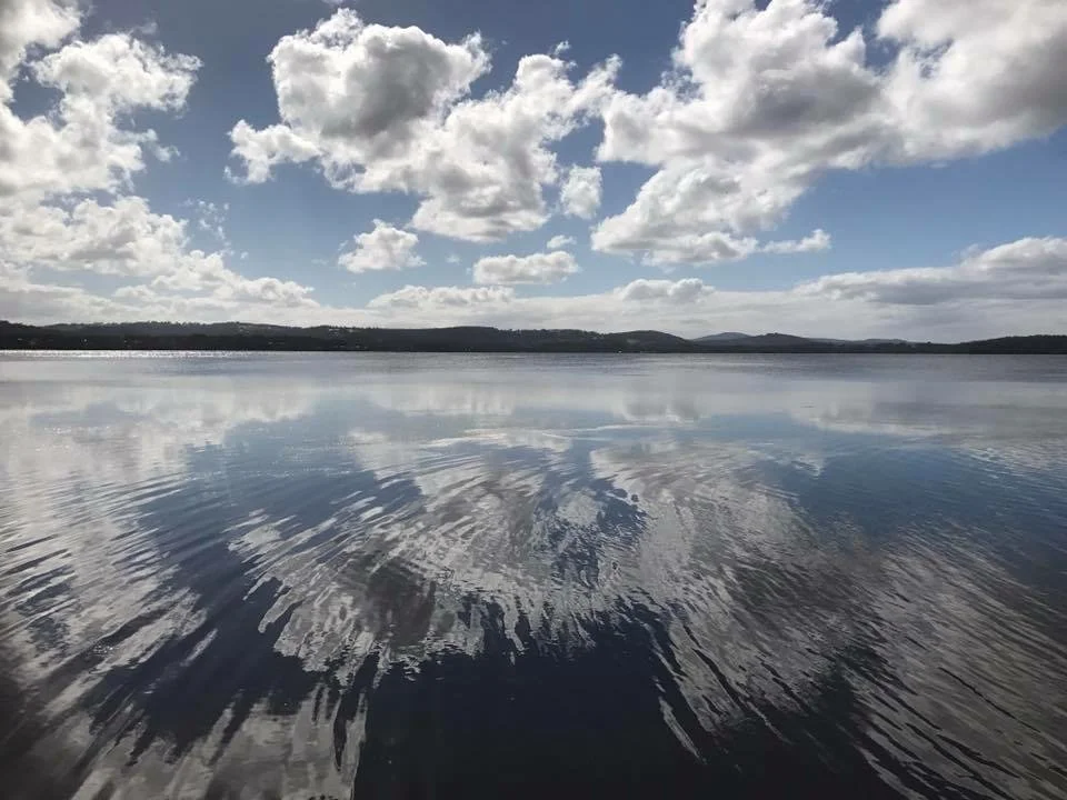 Stay & Play in WA by Liz Handley