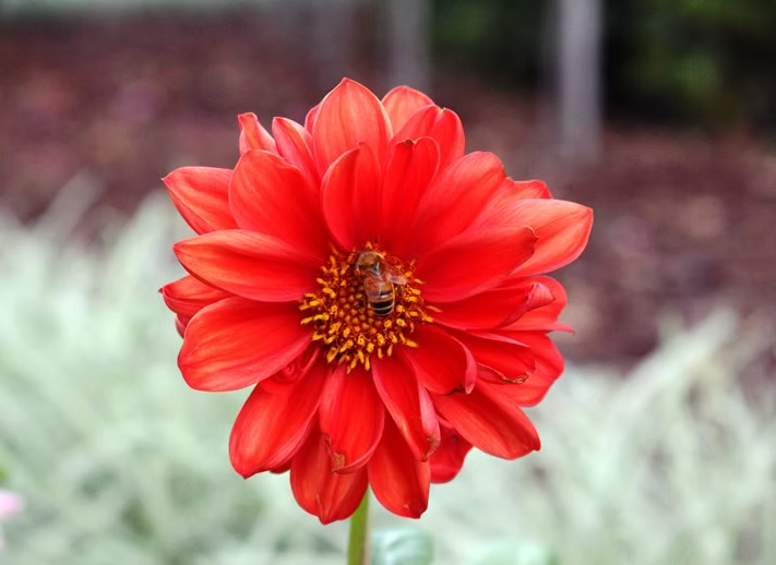 Nature At Work by Benjamin Walmsley