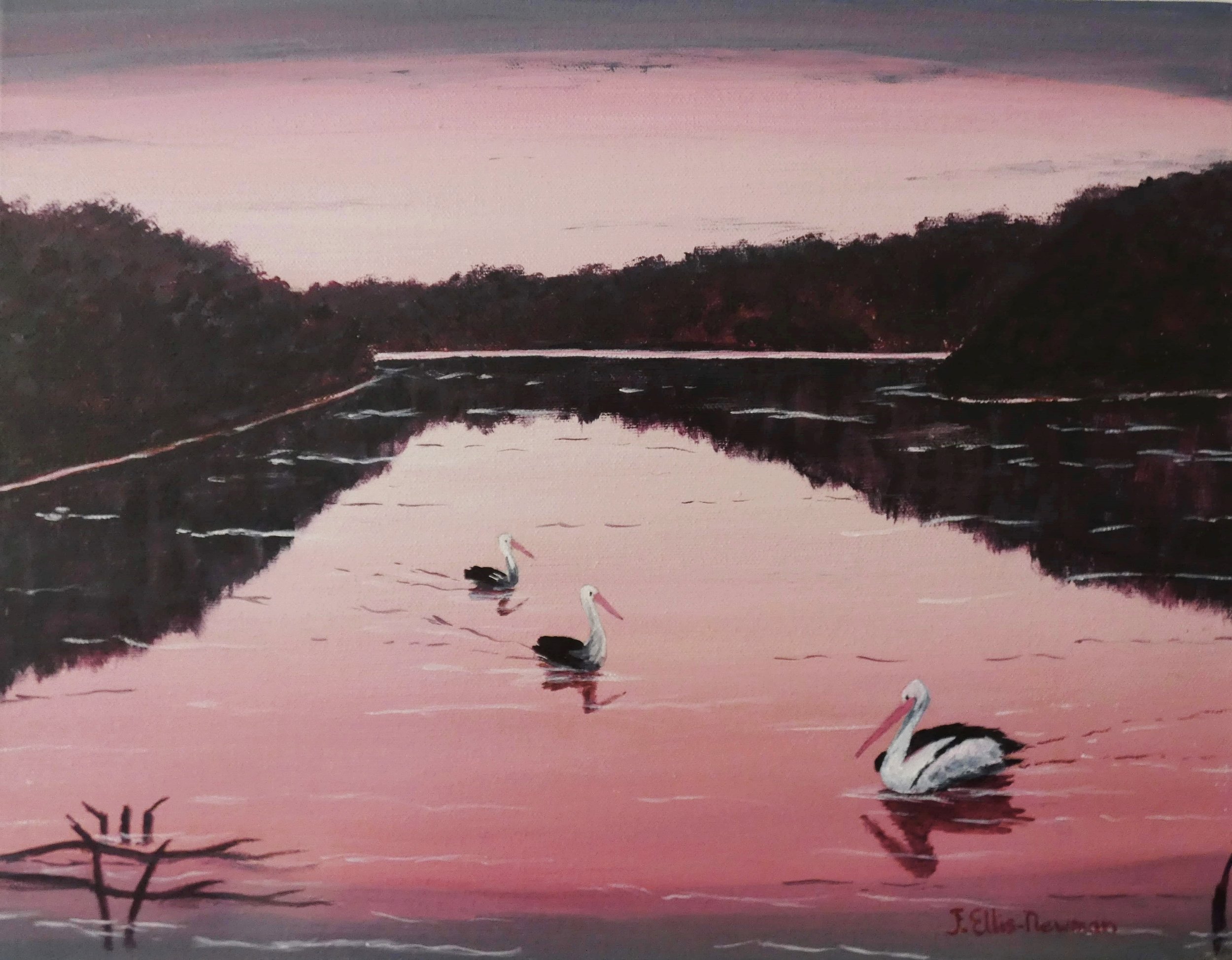 Jenny Ellis Newman, Pelicans at sunset, 2024, acrylic.