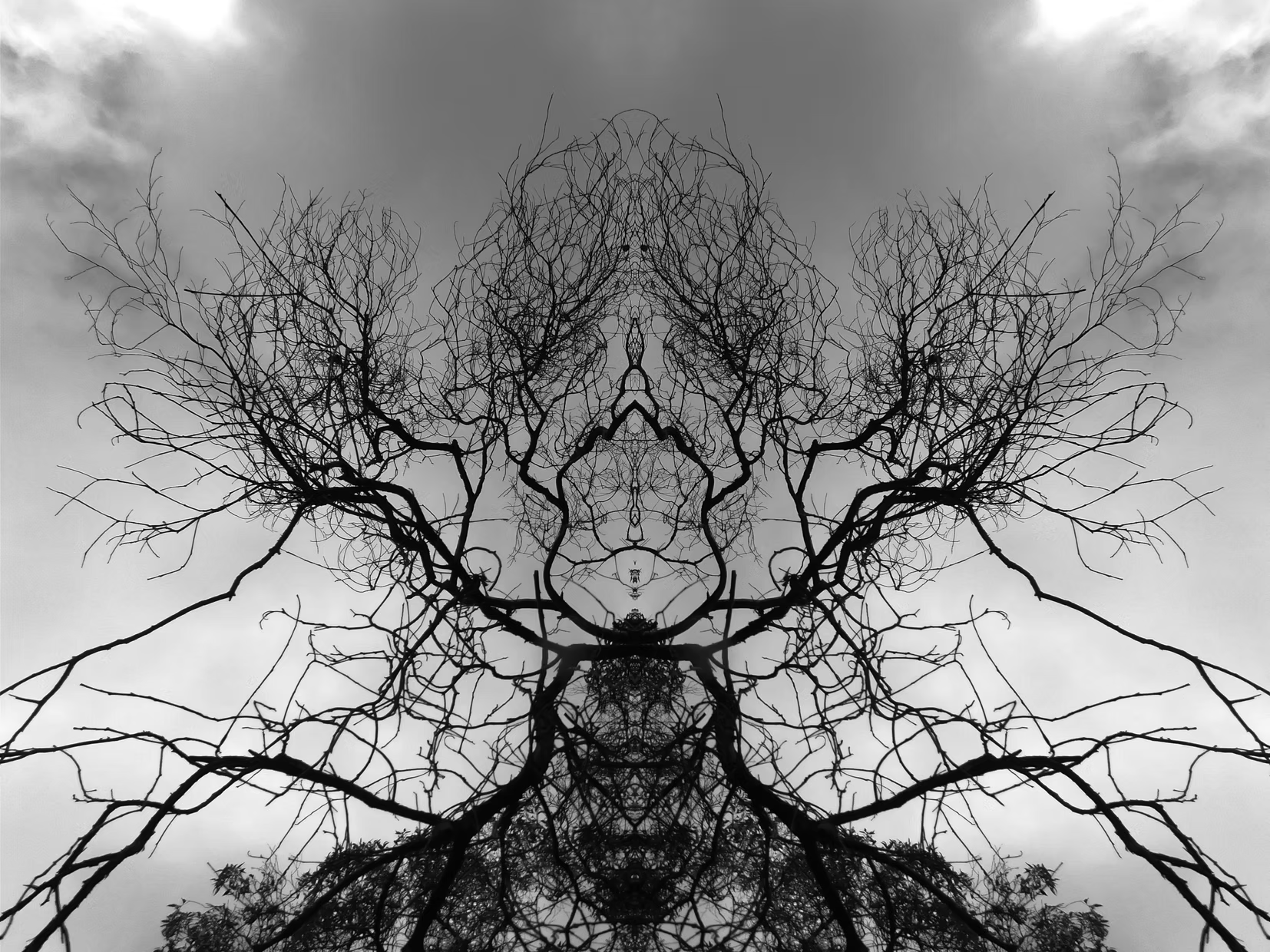 Forest King by Nadya Doubell