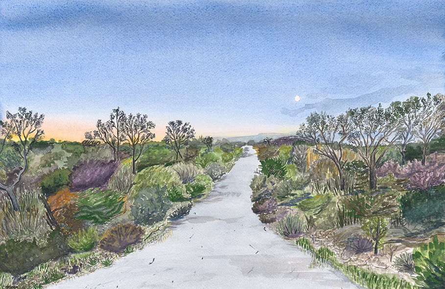 Dusk Wanderings by Carleen Wynhorst