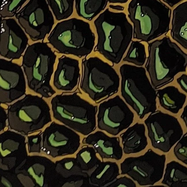 Eve Wolf_Hollows.jpg