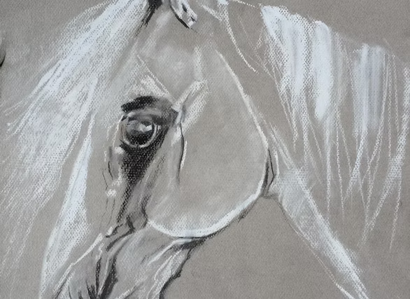 The Spirit of the Horse by Louise Mihailovic