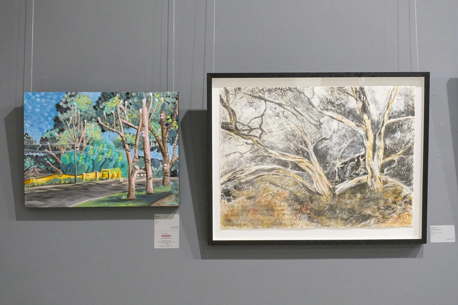 WEB Ellenbrook Art Awards 2022 92.jpg