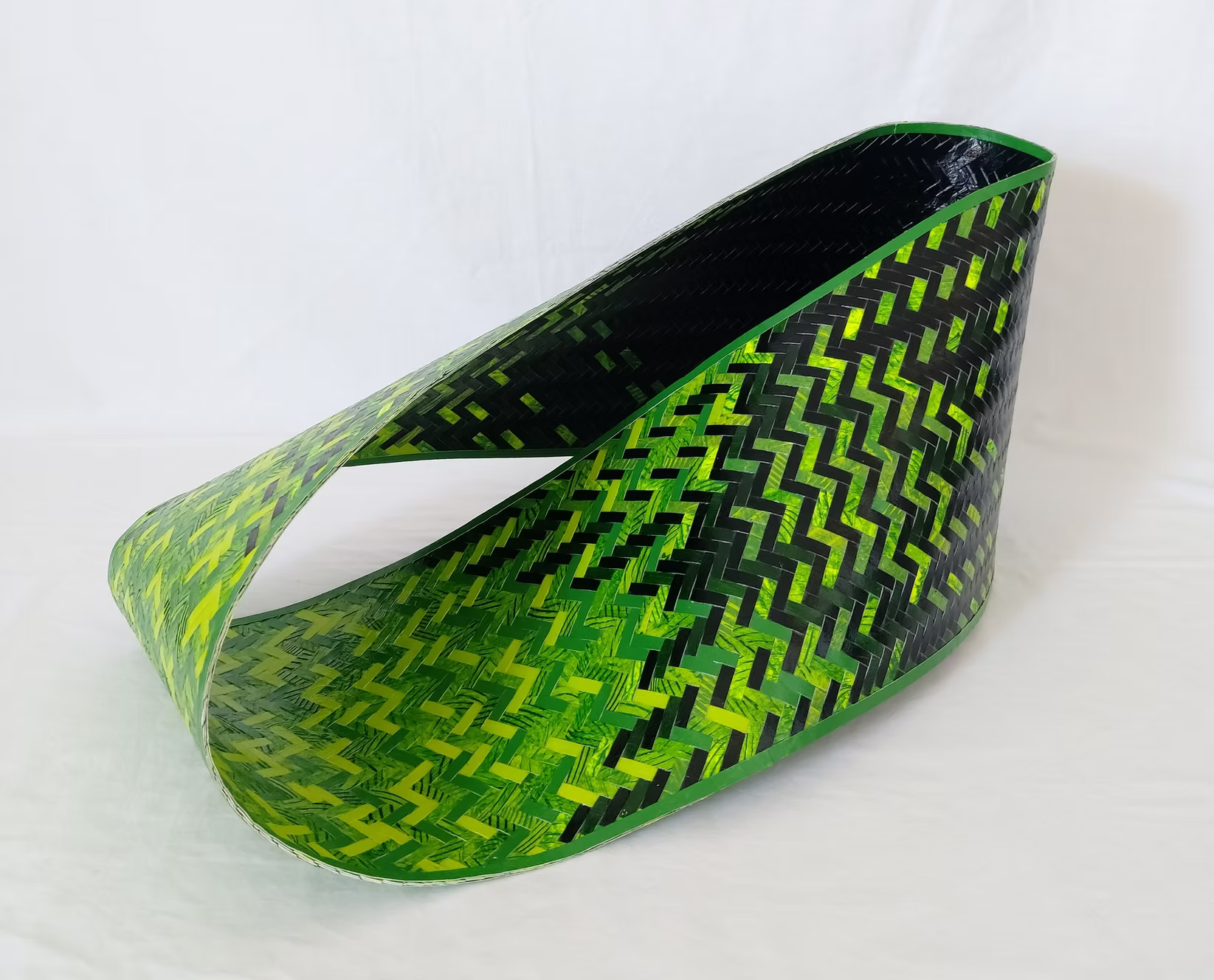 Overall winner: Bushfire Regrowth by Pip Milton 