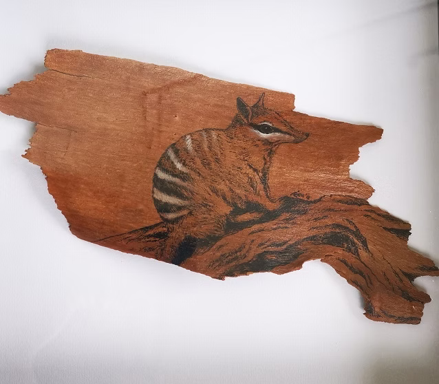 Numbat by Ai Chen Lee