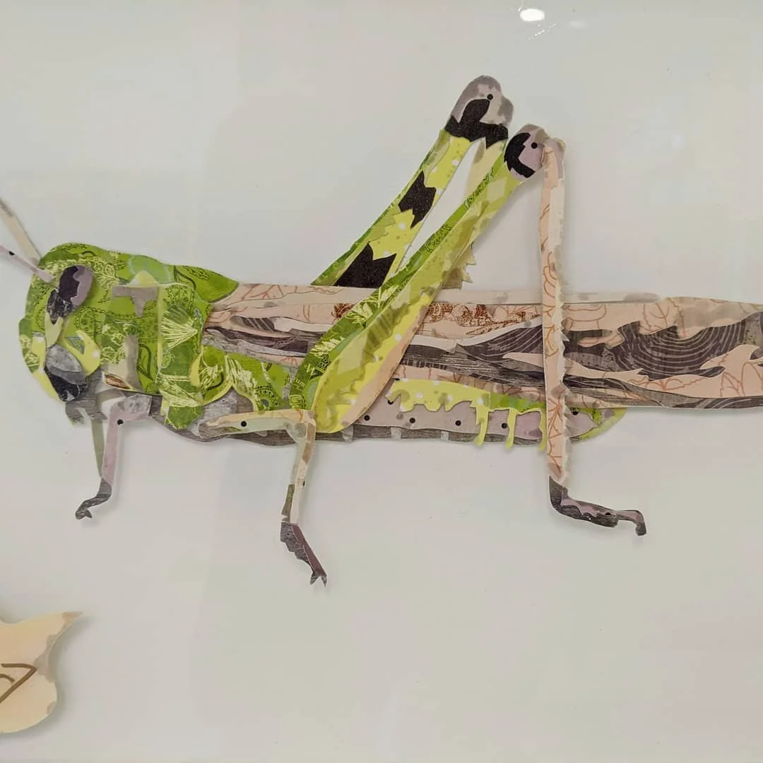 Benn Francis_Hopper.jpg