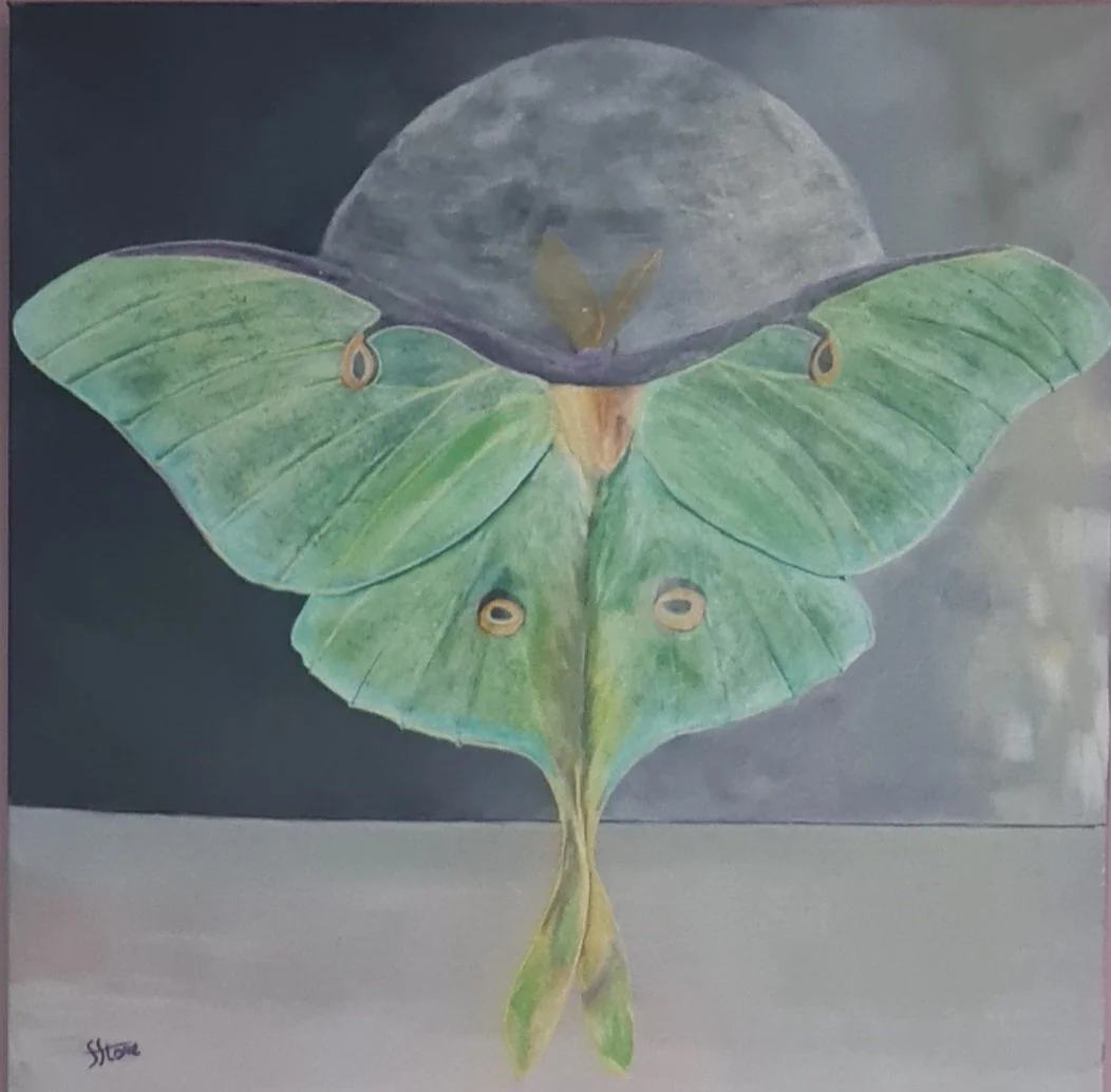Sally Stone, Moondance, 2025, acrylic