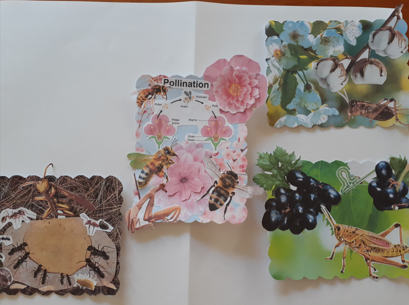 Sasha Rademakers, Fruits of our Labours, 2026, paper collage
