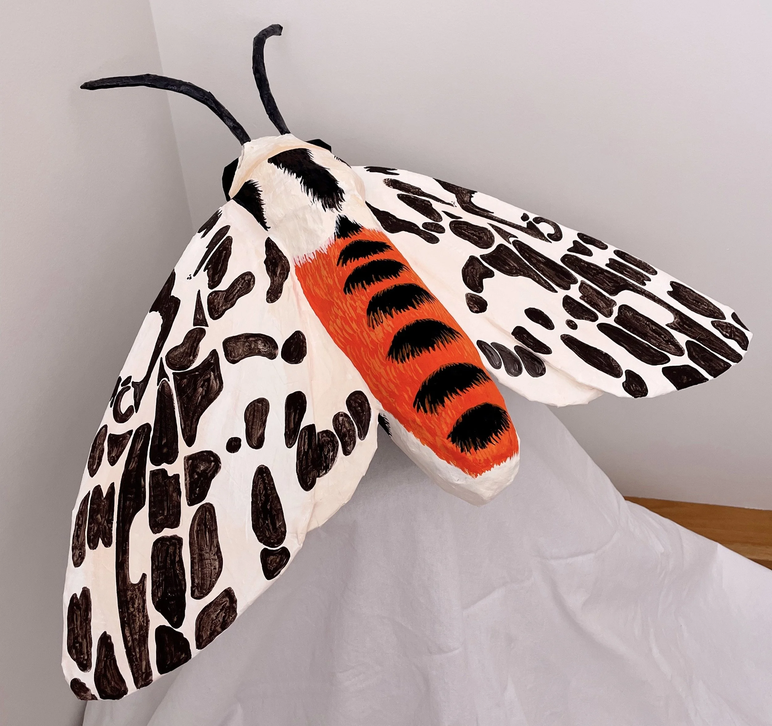 Michelle Knowles, Tiger Moth, 2026, papier Mache