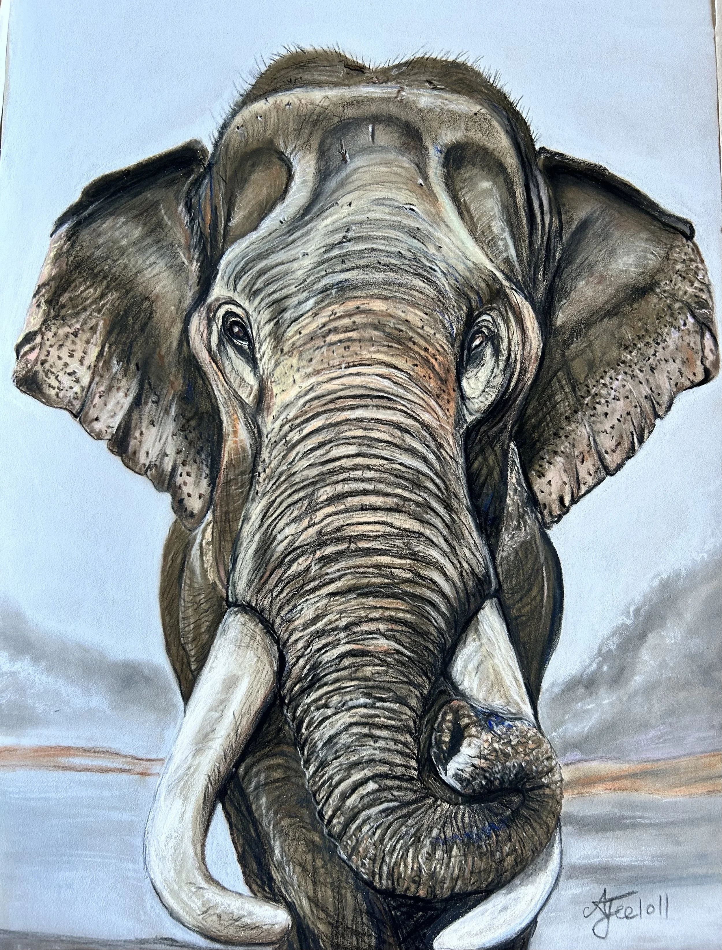 Ash Jeeloll, Tusks of wisdom, 2025, pastel, 52x42cm