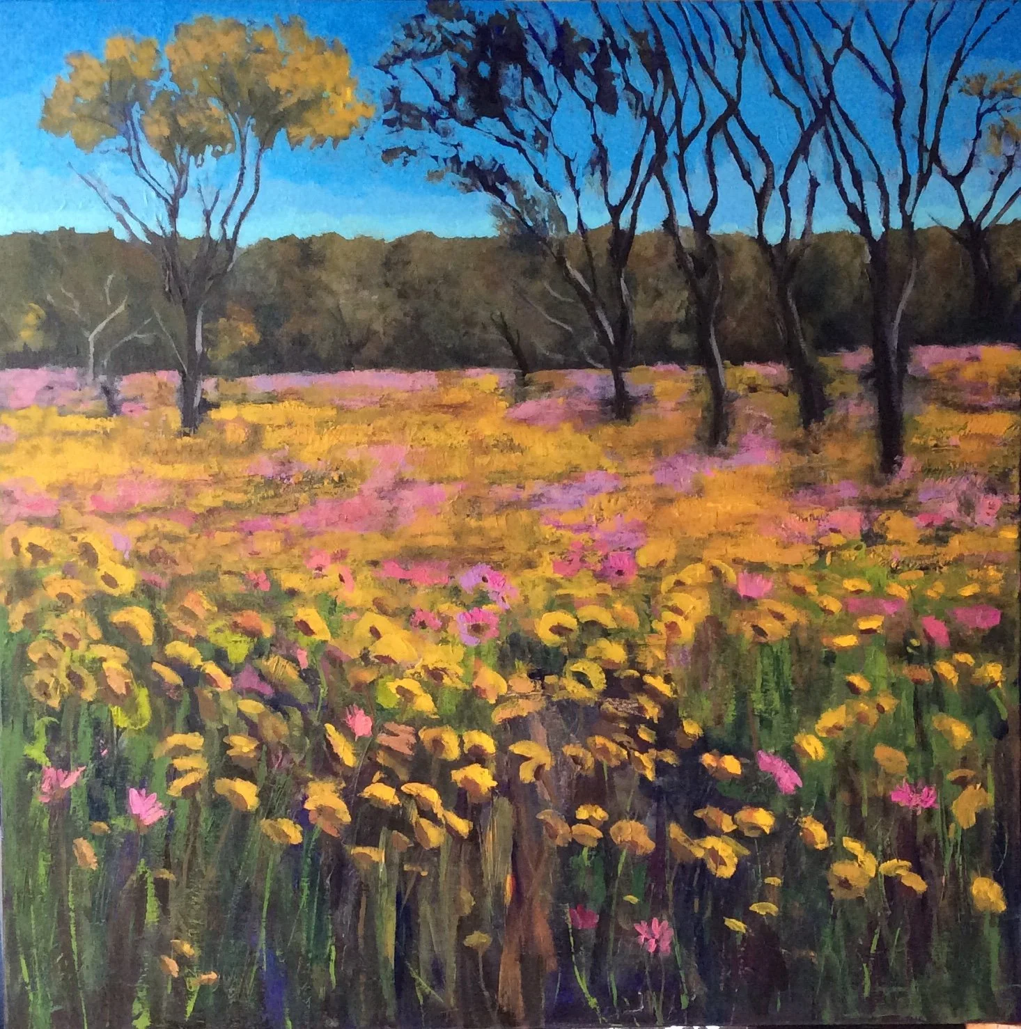 Spring in the Bush by Rosita Krueger