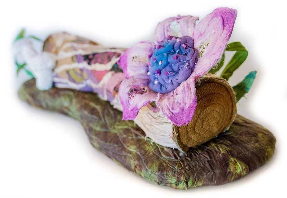 Log Fungi by Maureen 