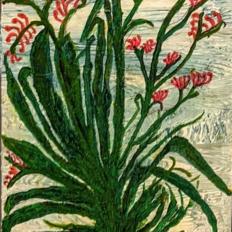 Tami Esancy_Haemodoraceae.jpg