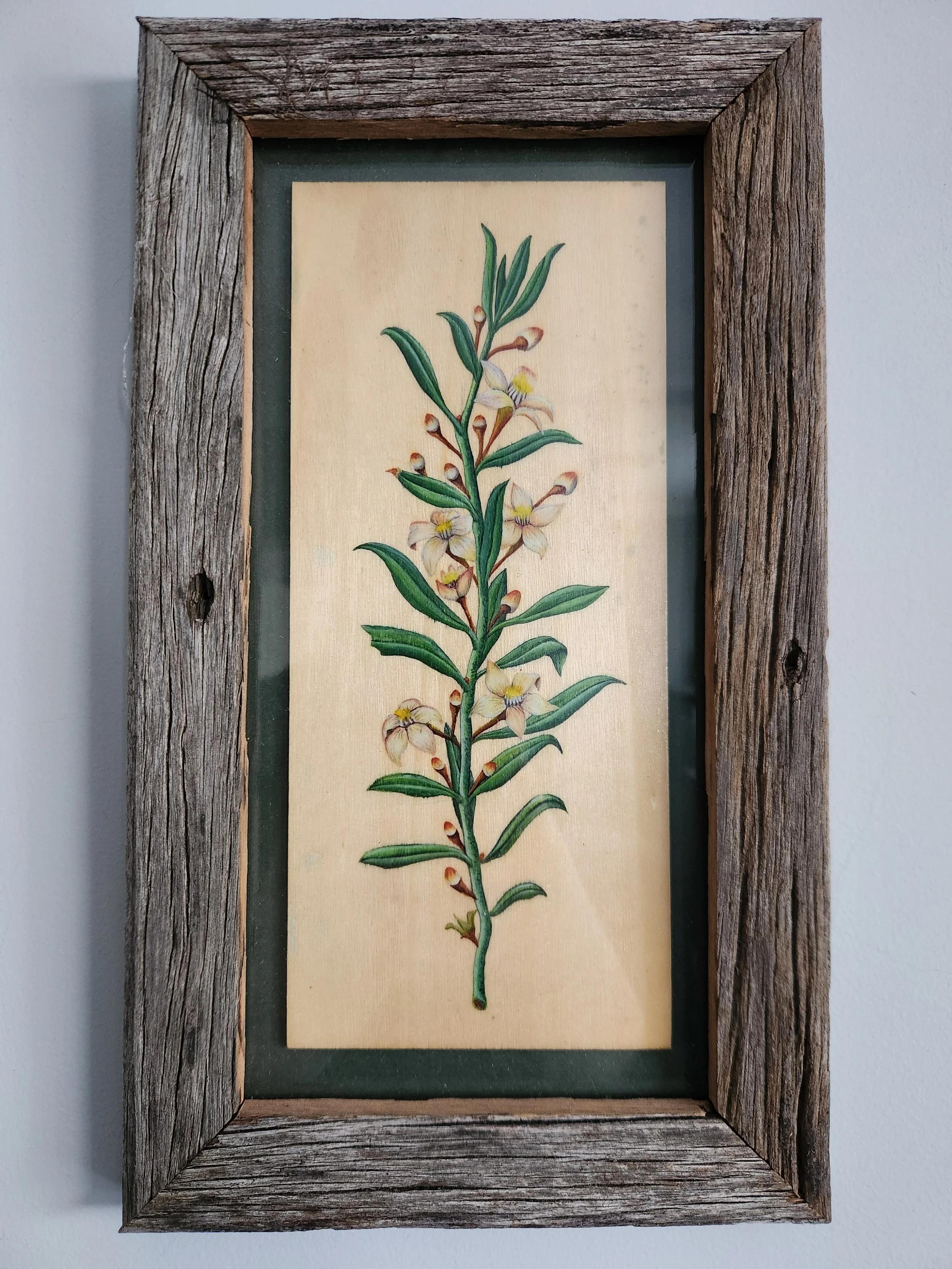 Laura Martin, White wax flowers, 2025, mixed media. 