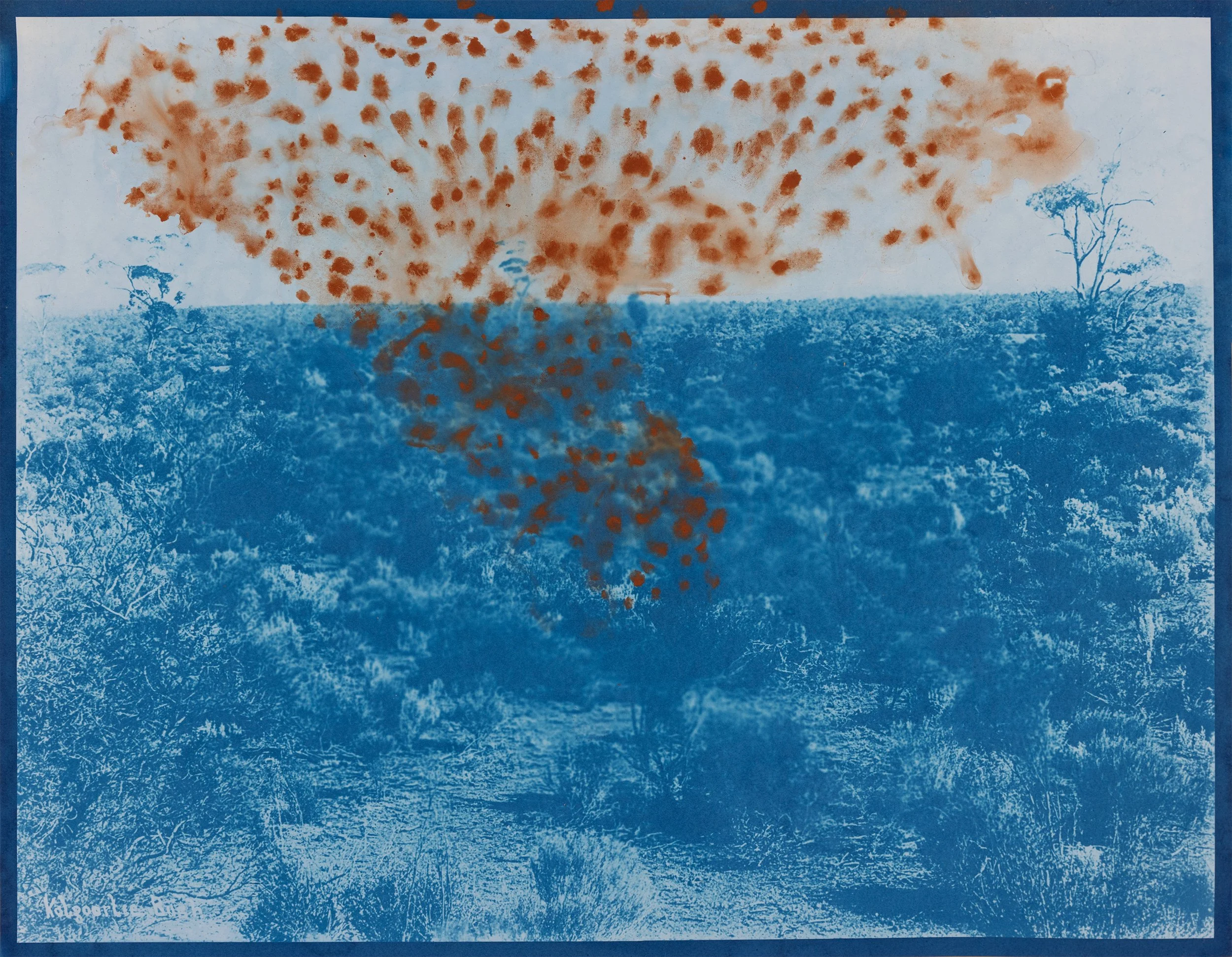 Perdita Phillips, Red Cloud (resumption of nuclear testing), 2024, cyanotype print (digital negative from Dwyer and Mackay collection) with local soil on Bergger Cot 320,  57 x 73 cm