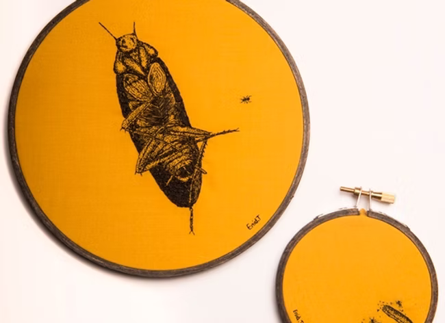 The Feast by Sarah Norman-Brown