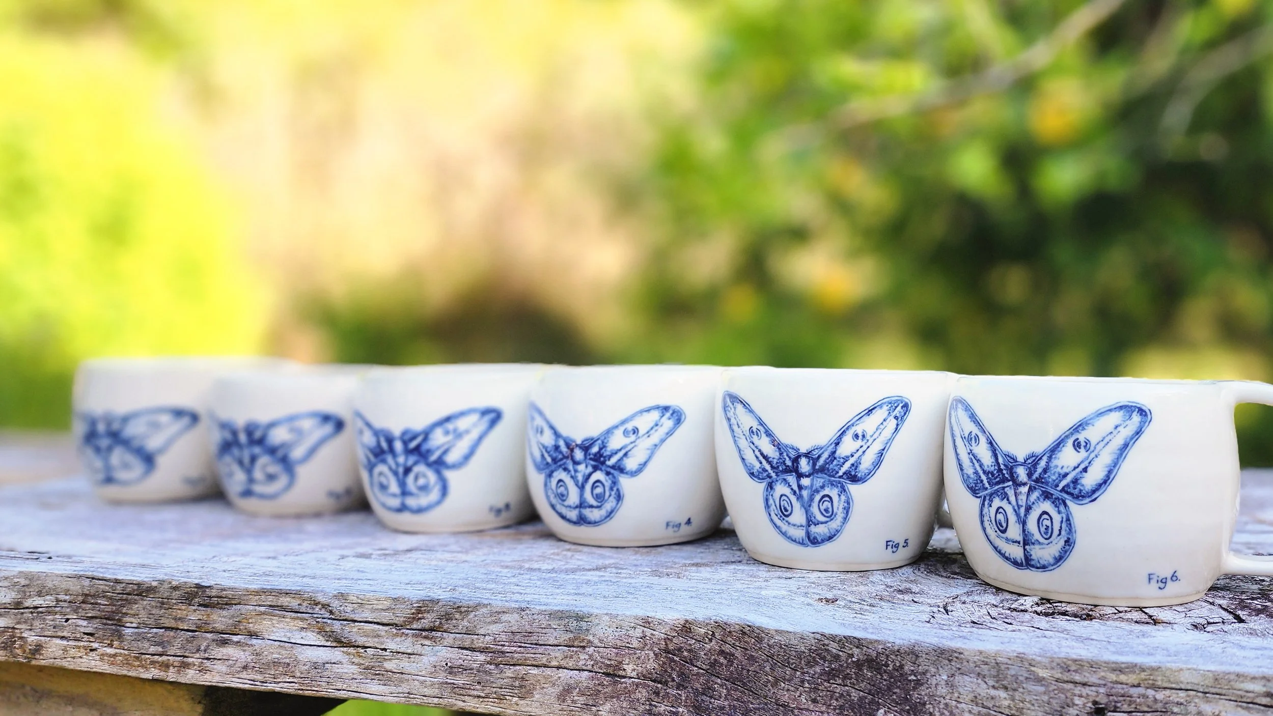 Kalinga White, Helena Gum Moth, 2026, stoneware ceramics