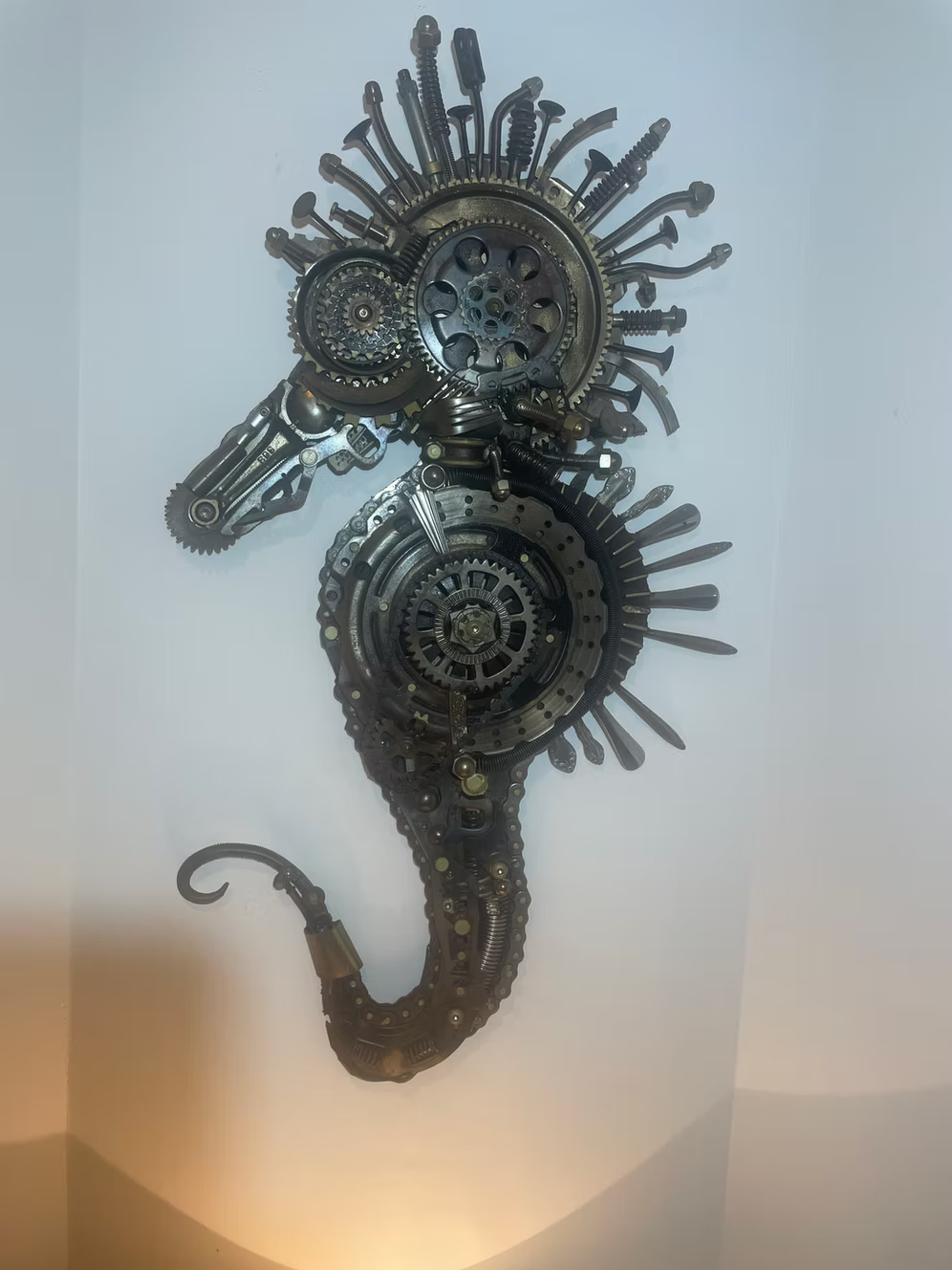 Seahorse by Jason Dean