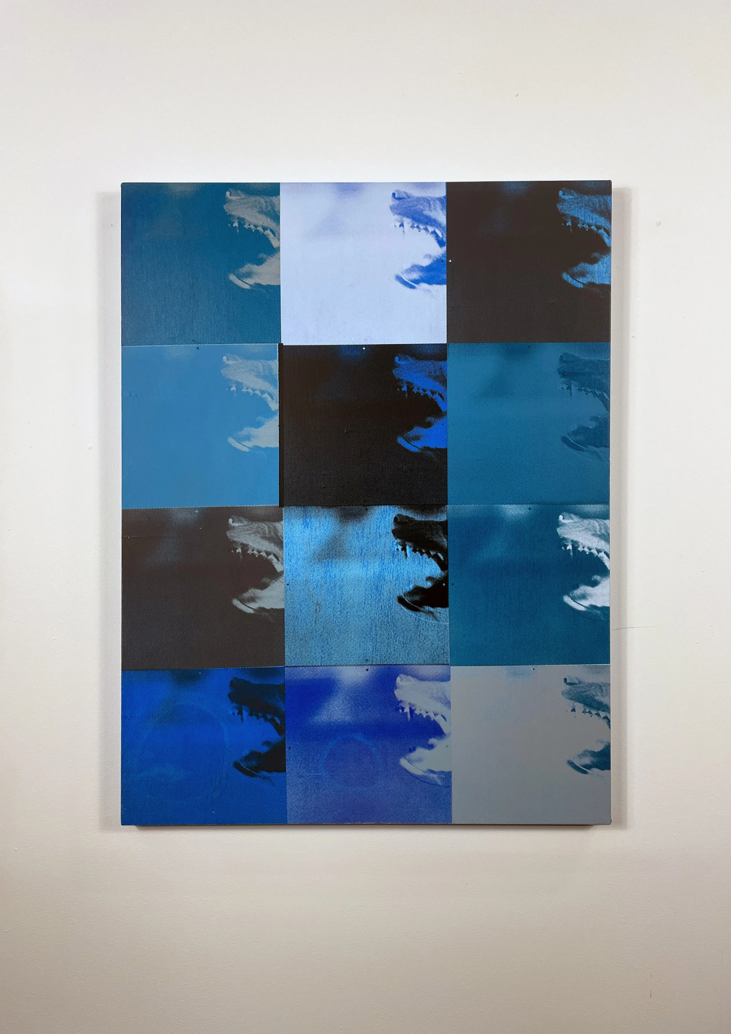 Jared Malton, Bark/Bite Blue, 2025, 6 colour silkscreen print, synthetic polymer on canvas, 80 x 60cm.