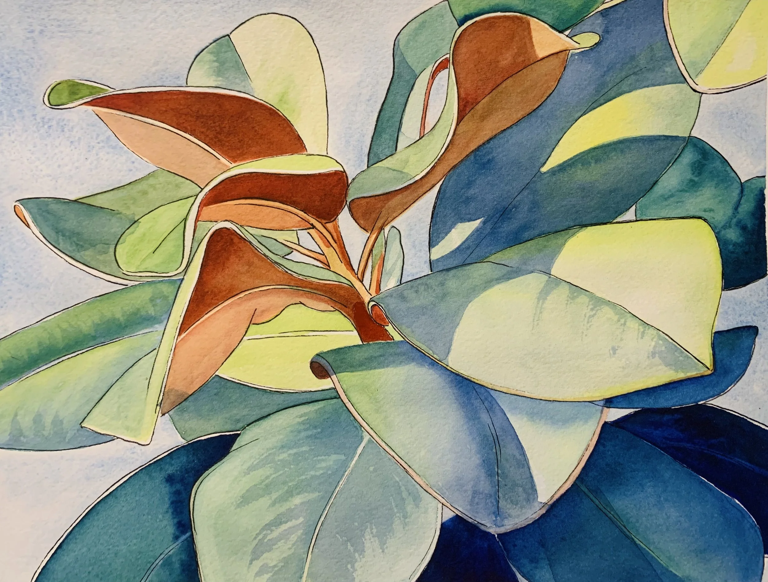 Nicola_Elliott_Winter Sun on Magnolia Leaves_2023.jpeg