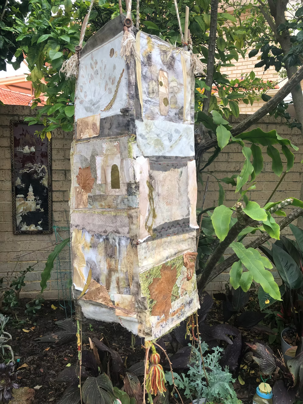 Reflections of Light by Roslyn Newick 