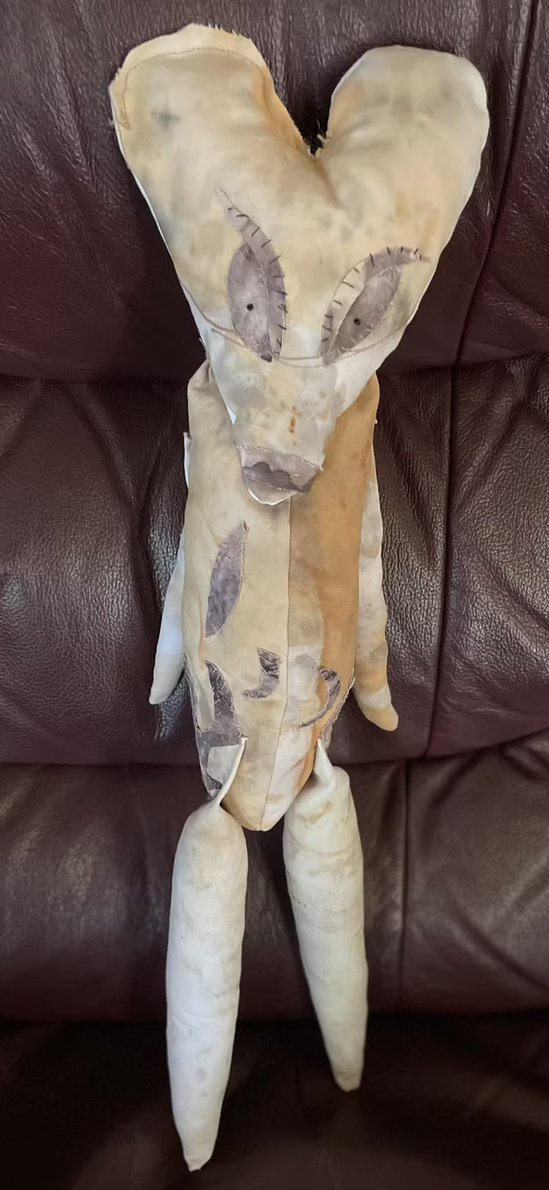 The Cornered Ruffian by Suzie Leadabrand