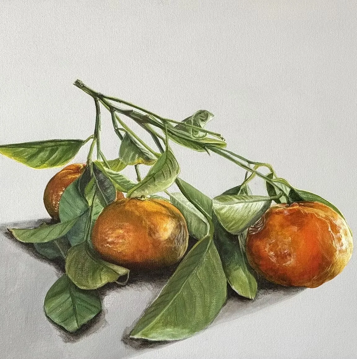 The City of Swan Prize: My Darling Clementine by Hayley Kruger