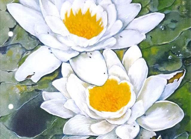 Water Lillies by Gianna Paulton