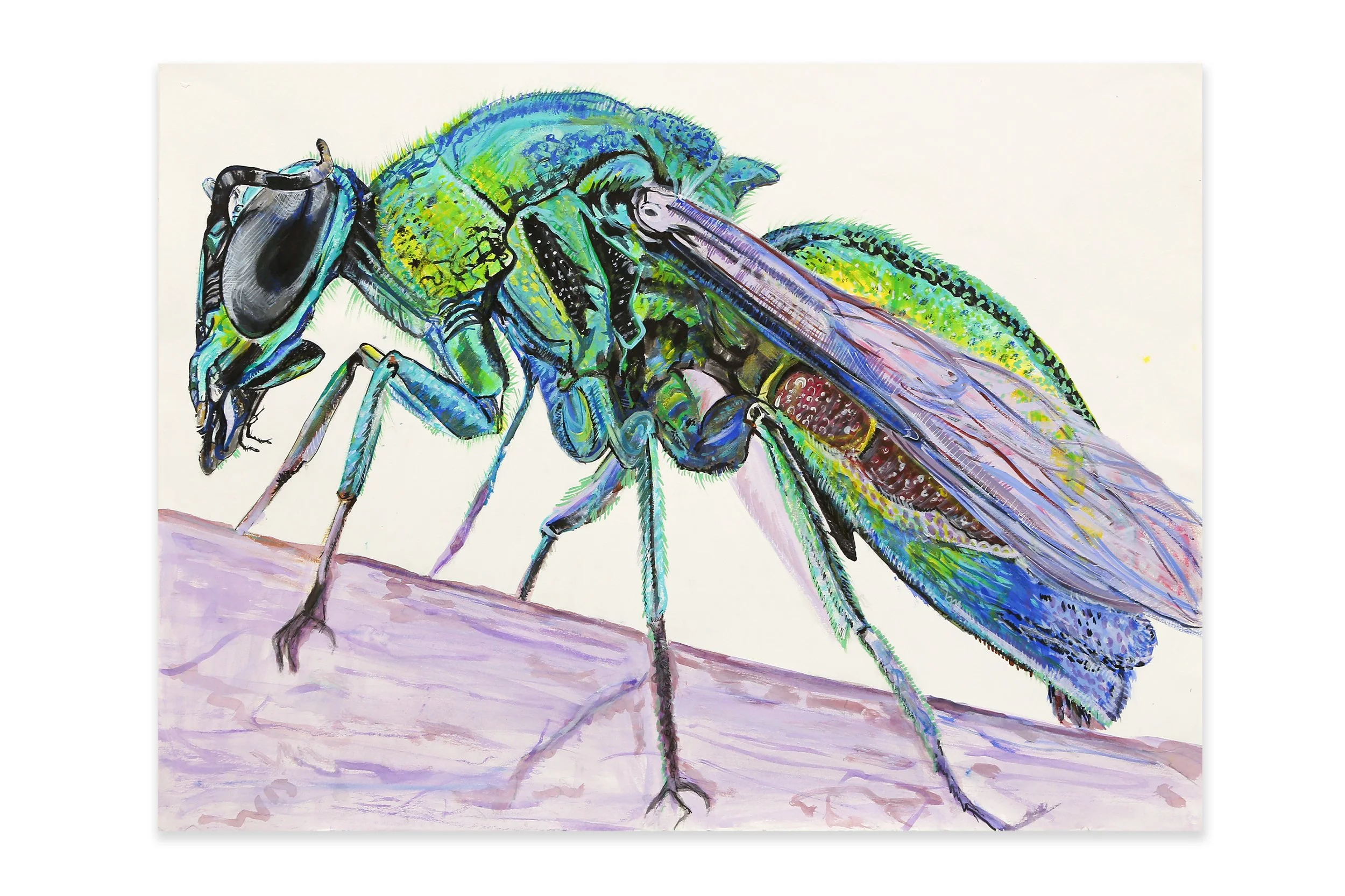 Carolyn White, Jewel Wasp, 2025, acrylic and ink on archival paper