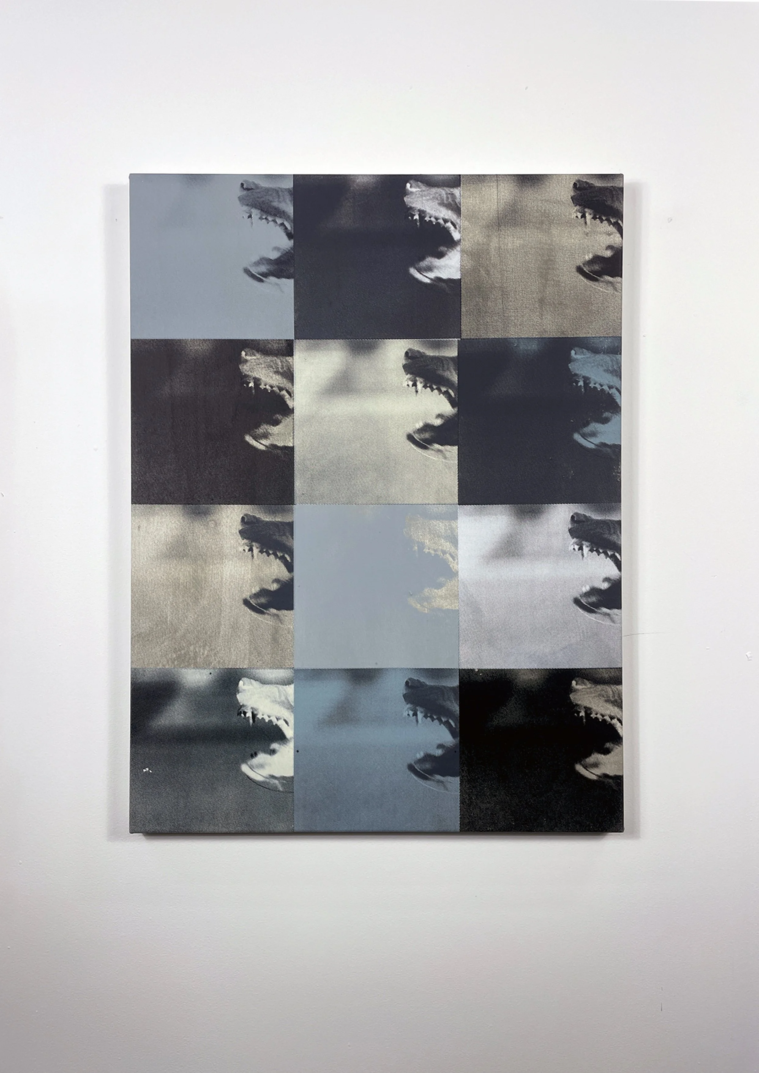 Jared Malton, Bark/Bite Grey, 2025, 6 colour silkscreen print, synthetic polymer on canvas, 80 x 60cm.