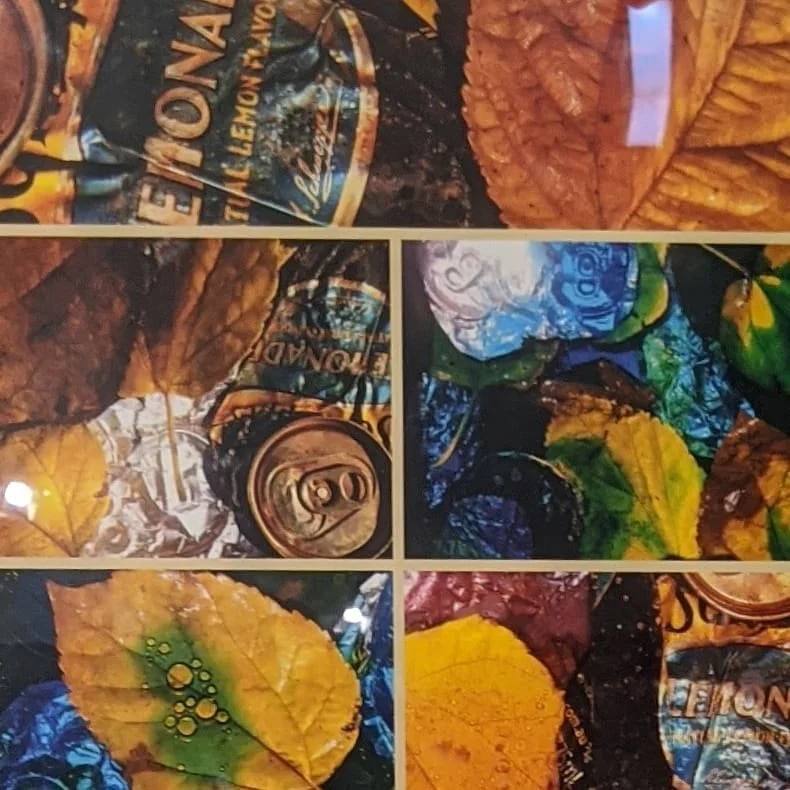 Sebastian Steed_Unnatural Disaster.jpg