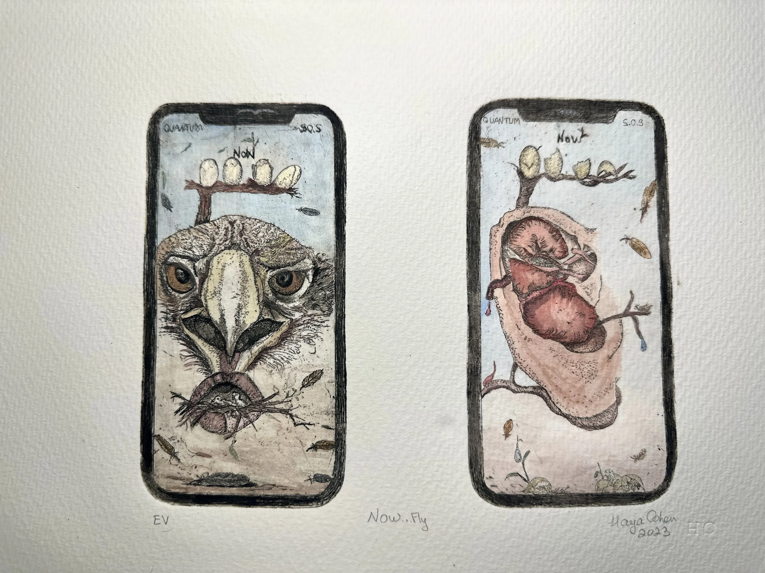 Now Fly by Haya Hagit Cohen