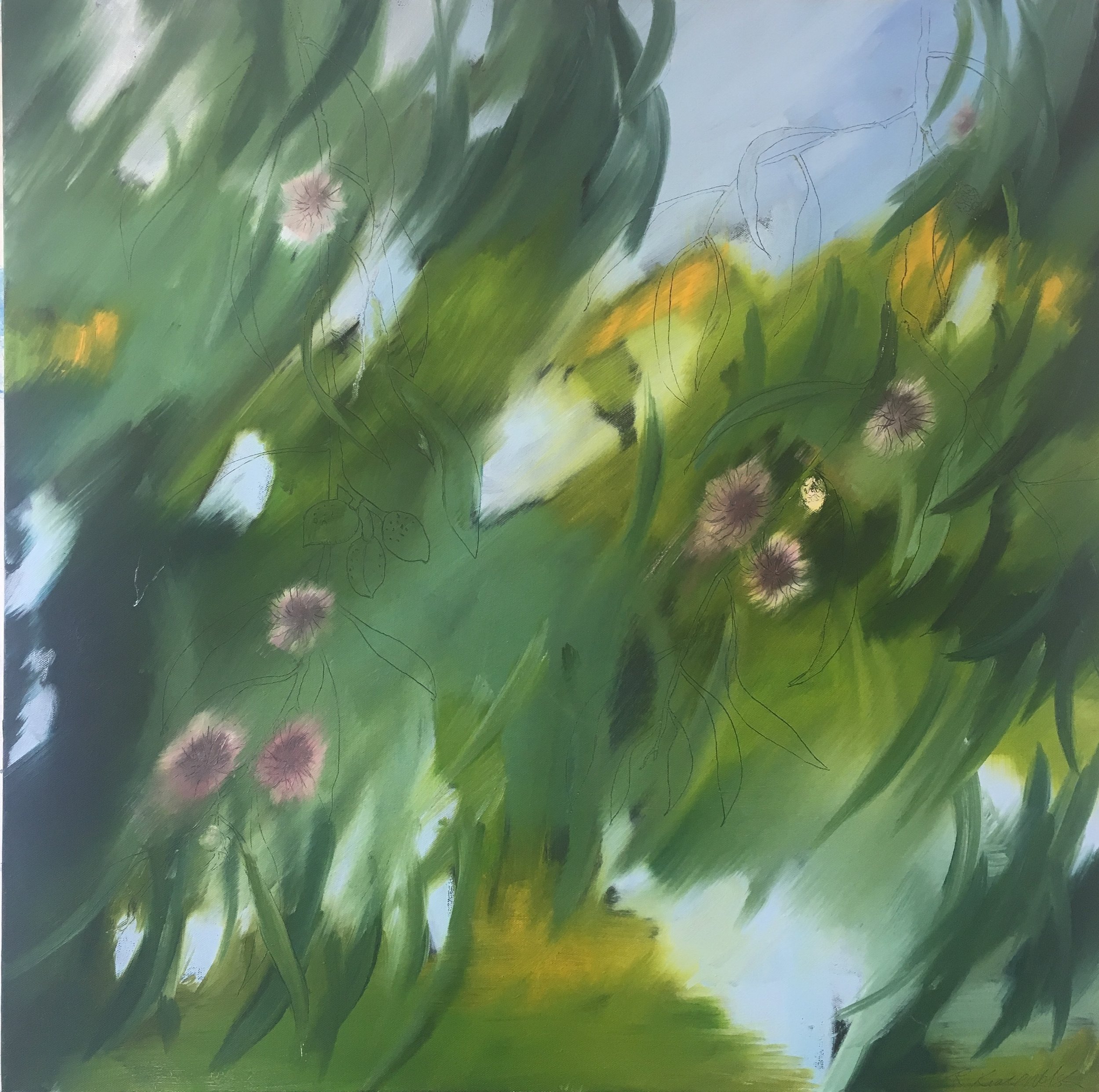 Pin Cushion Hakea by Rowena Keall Walsh