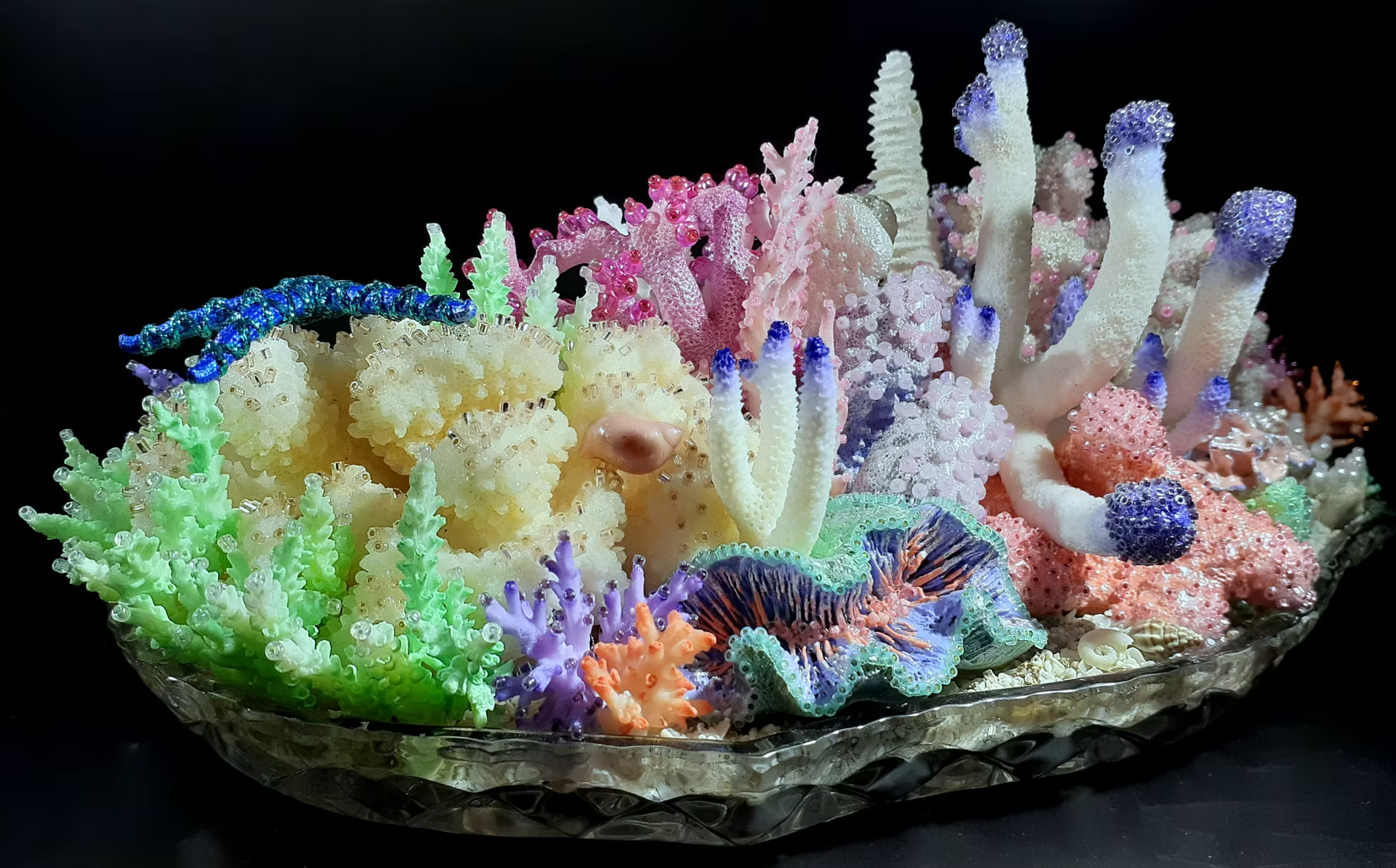 Mermaid Reef by Anita Staaden