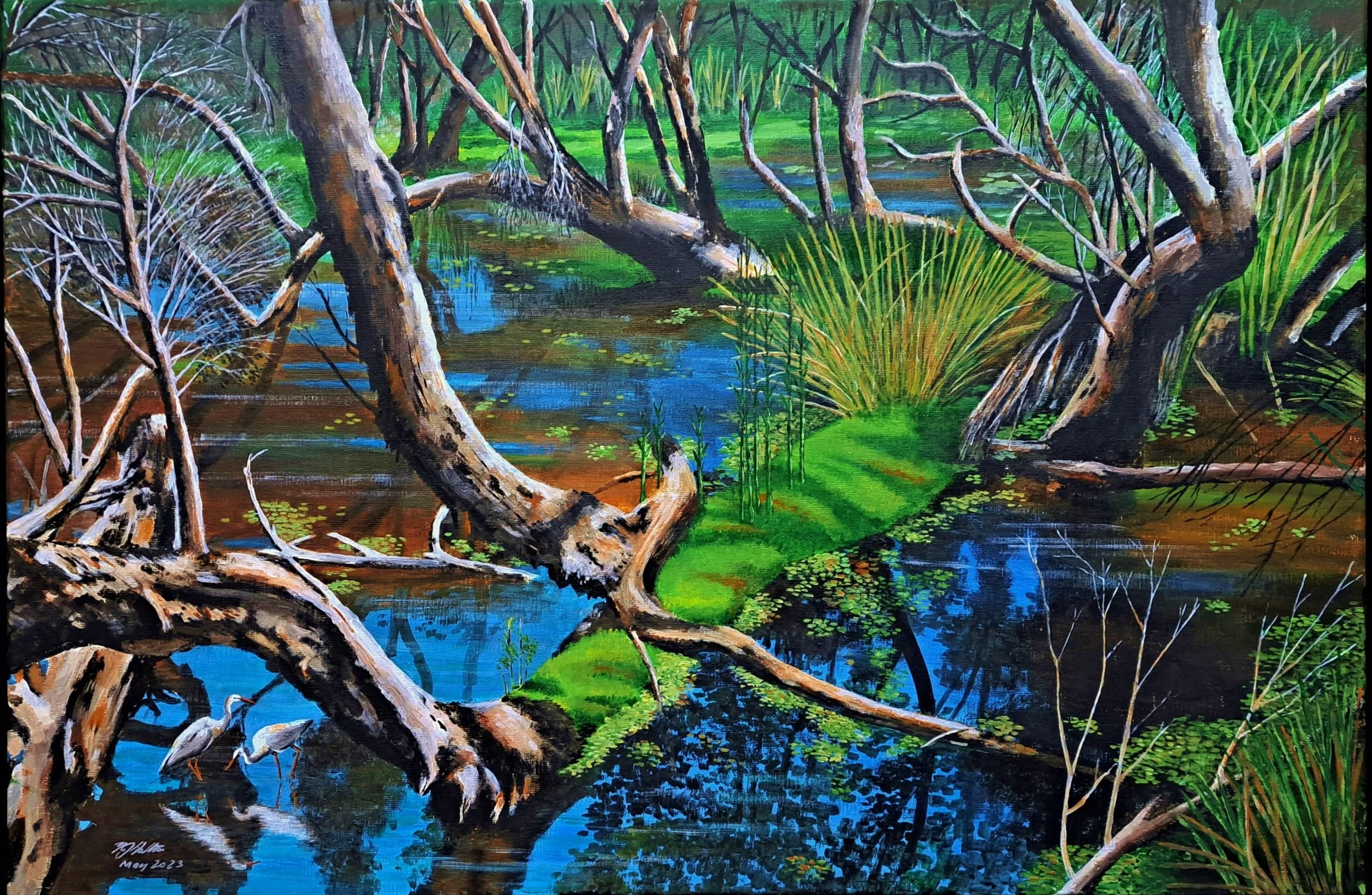 Terry_Holton_Canning_Wetlands_Study_2023 (1).jpg
