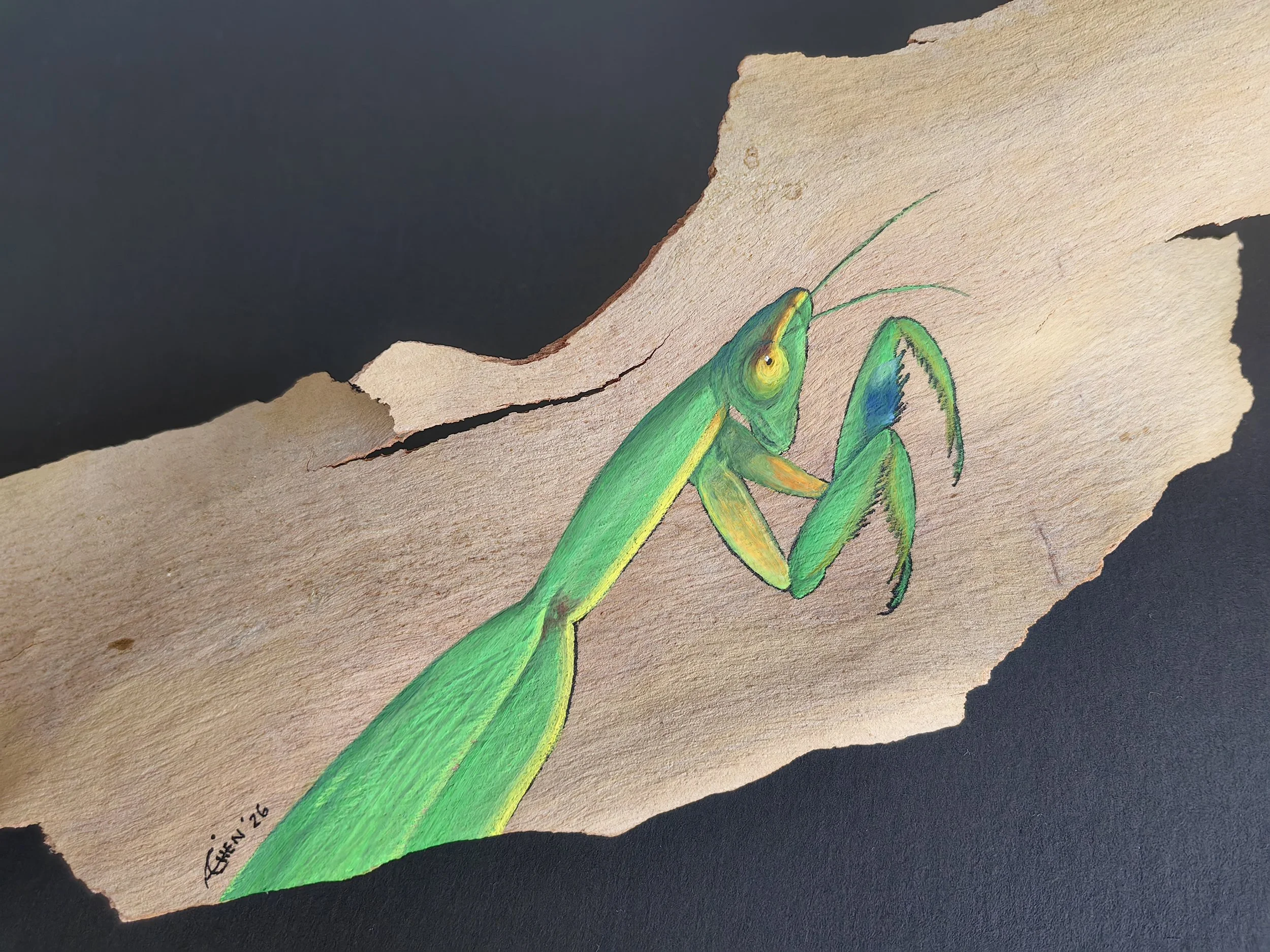Ai Chen Lee, Praying Mantis, 2026, mixed media on board