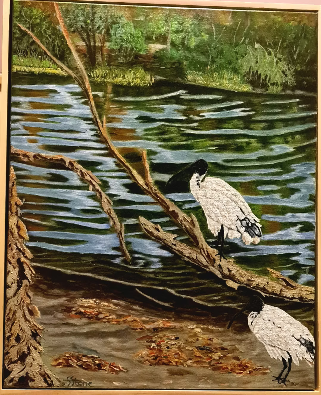 Woolgar Lake Residents by Sally Stone 