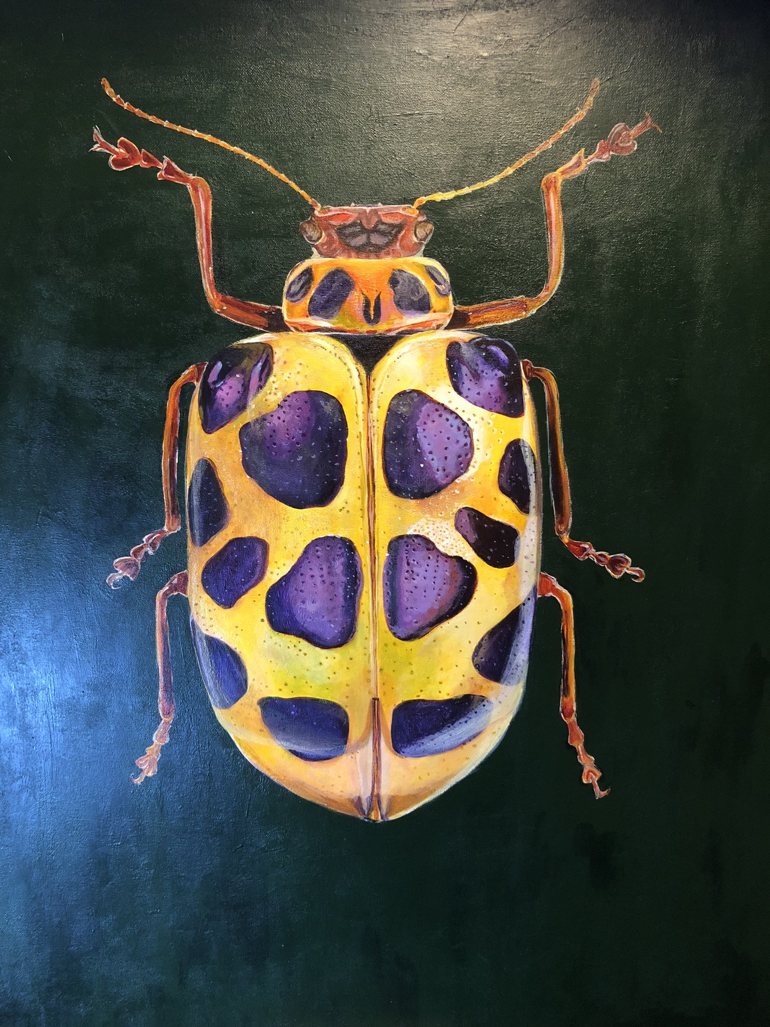 Nadya Khanikova, Leaf Beetle, 2026, acrylic on canvas