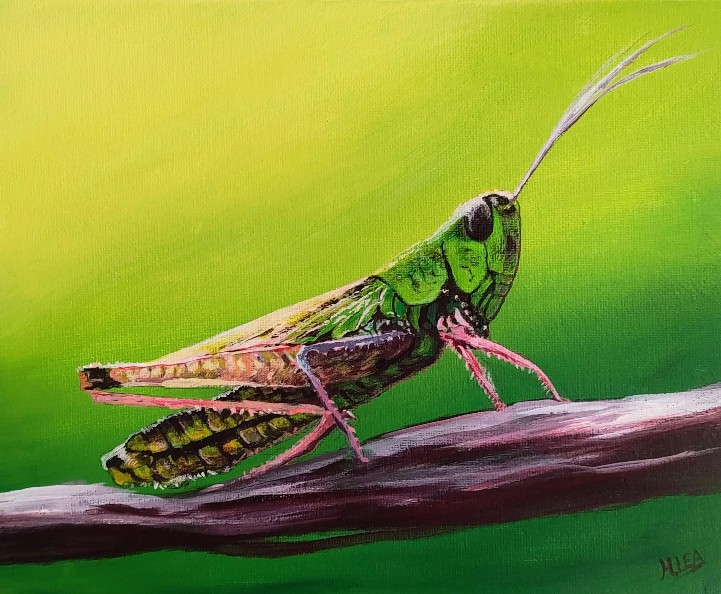 Harry Lea, Watchful Grasshopper, 2026, acrylic