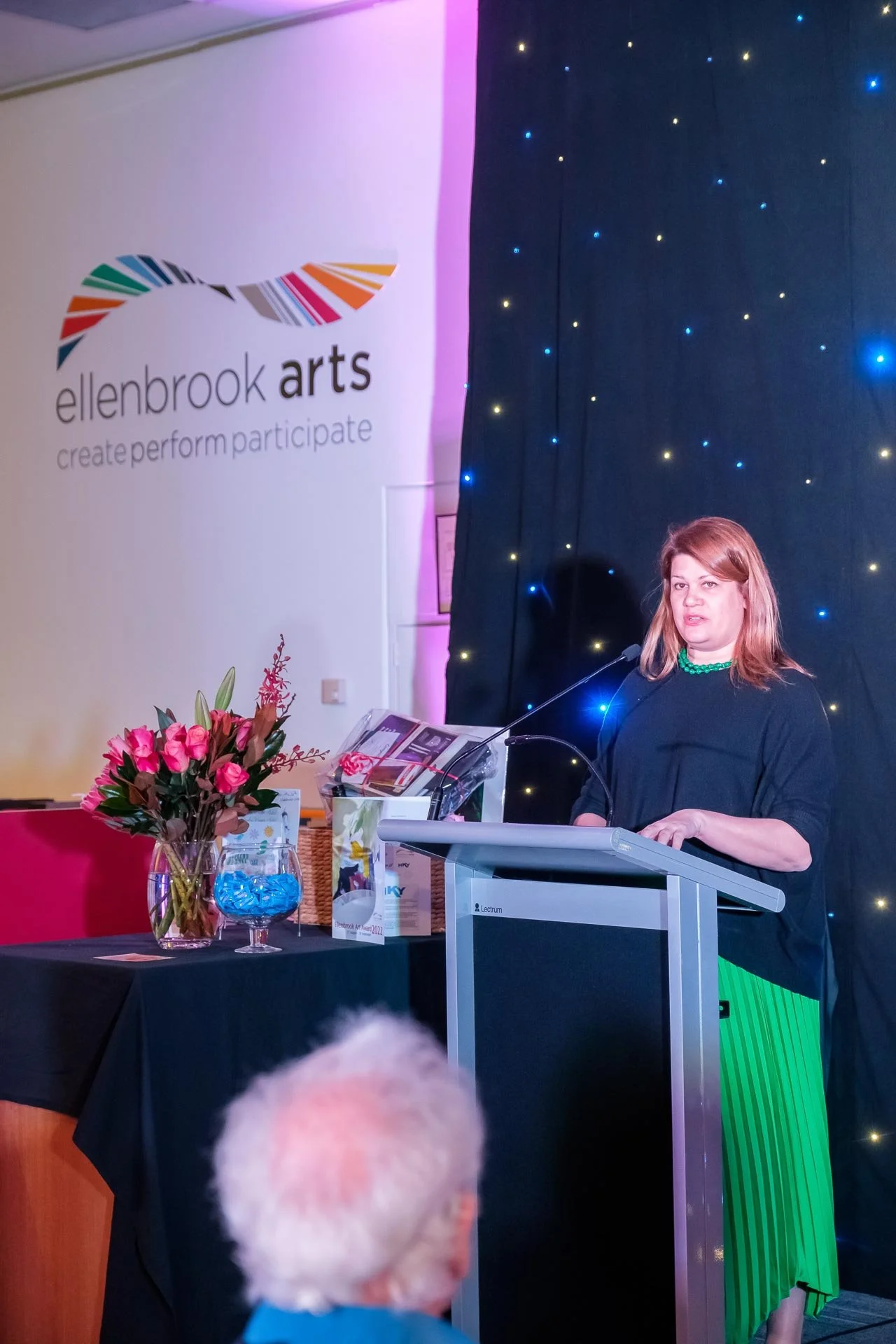 WEB Ellenbrook Art Awards 2022 45.jpg
