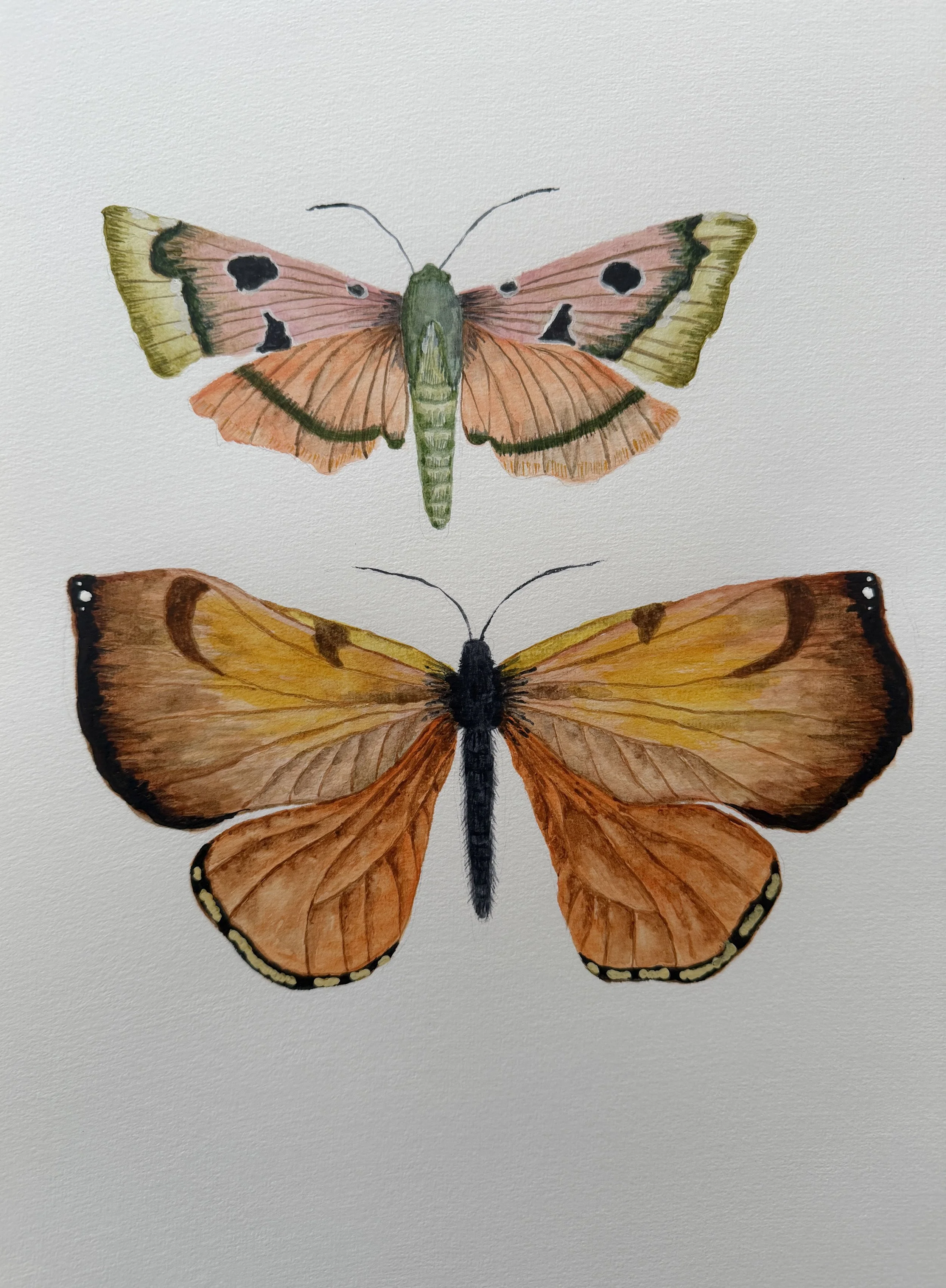 Aluapi, Kilig - (shudder - thrill), 2026, watercolour