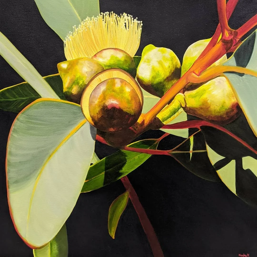 Hayley Kruger_A Ray of Sunshine.jpg