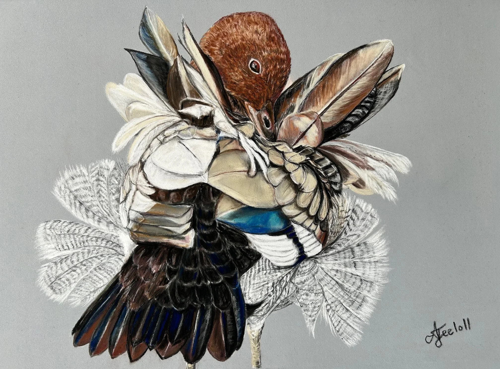 Ash Jeeloll, The art of feather, 2025, pastel.