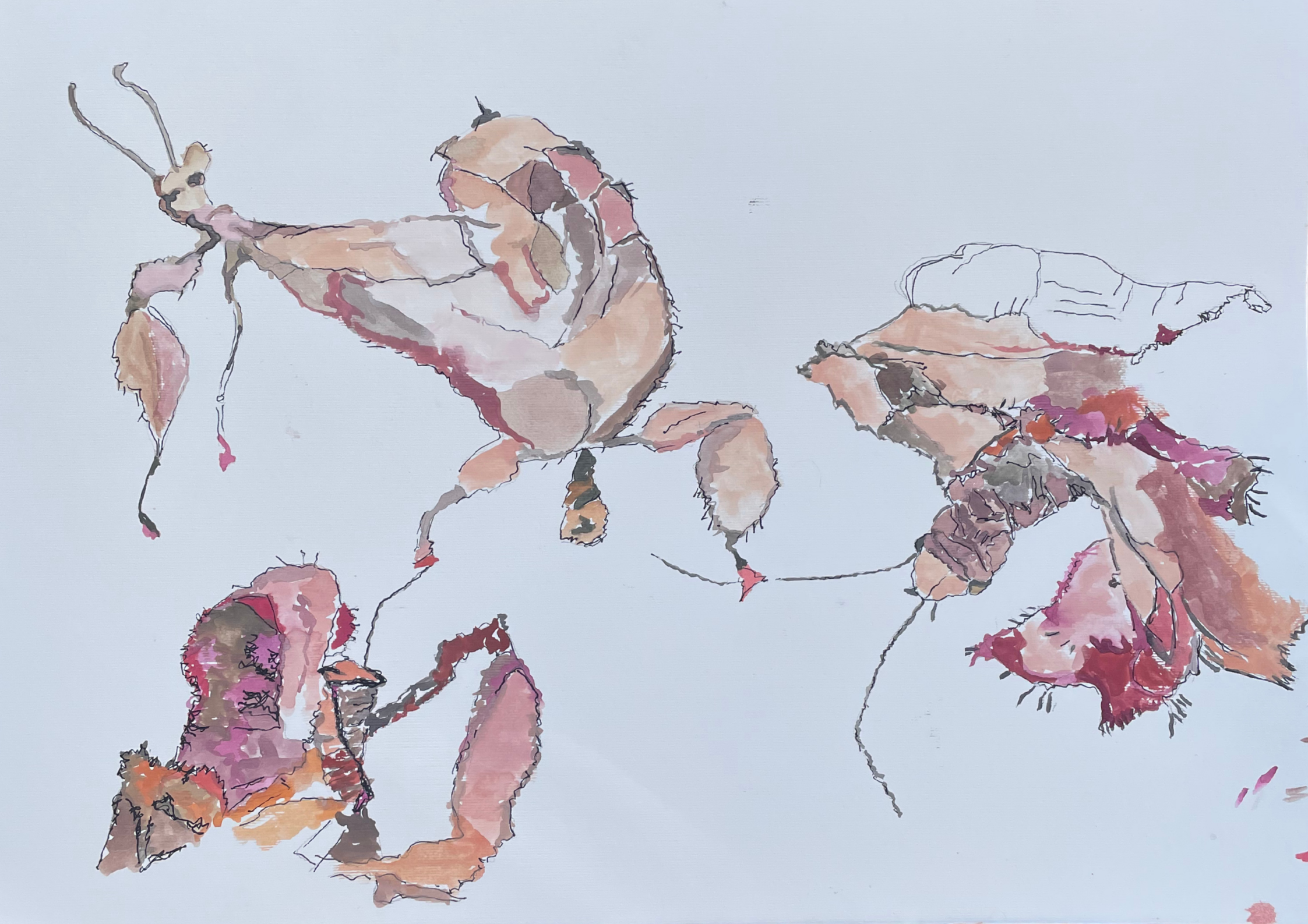 Cymbie Burgoyne, Well...hello there!, 2026, watercolour and artline markers