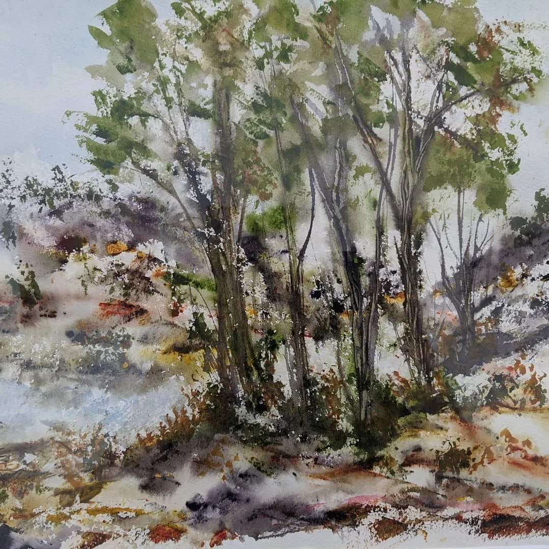 Margaret Francis_After the rain.jpg