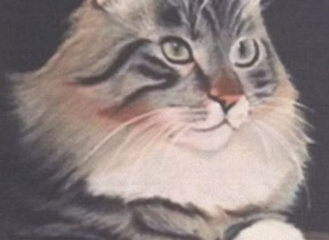 A Cat Named Flash by Valerie Long