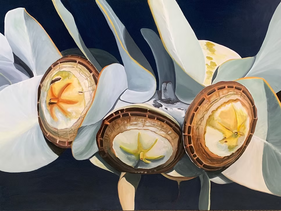 Hidden Riches by Hayley Kruger